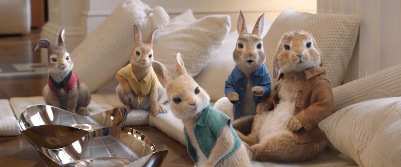 Peter Rabbit Photo 2