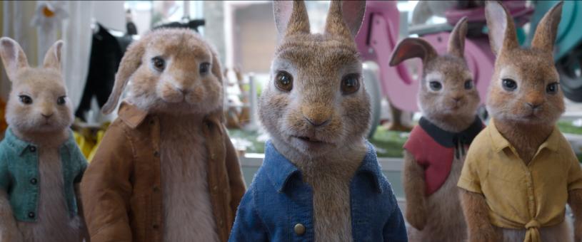 Peter Rabbit Photo 3