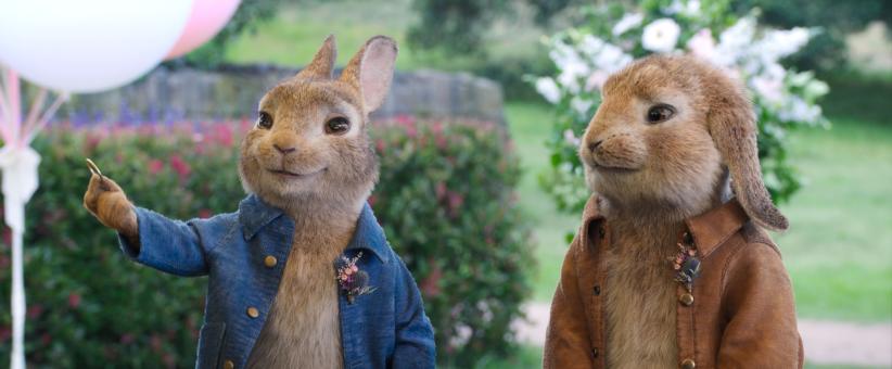 Peter Rabbit Photo 4